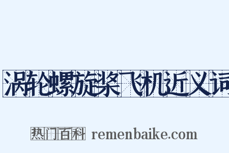 涡轮螺旋桨飞机近义词是什么意思的图片